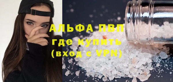 сатива Алексин