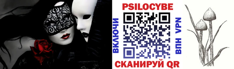 Псилоцибиновые грибы MAGIC MUSHROOMS  закладки  Кашин 