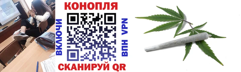 площадка наркотические препараты  купить   Кашин  Бошки марихуана марихуана 